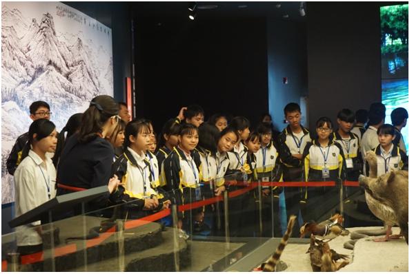 老师和同学们随我馆讲解员到展厅参观.JPG